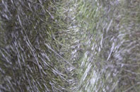 Knenhall fibreglass roof work